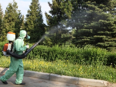 Уничтожение комаров в Голицыно